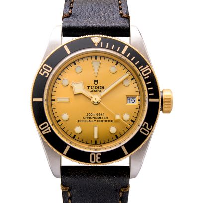 Tudor Heritage Black Bay 79733N-0003