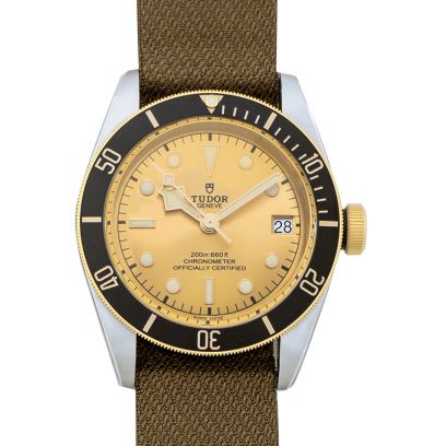 Tudor BLACK BAY 79733N-0006