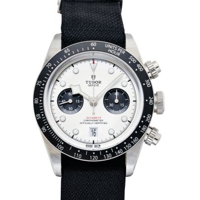 Tudor BLACK BAY 79360N-0008