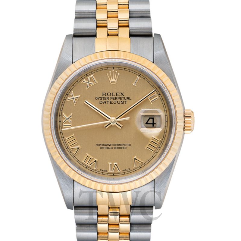 Product Image of 16233 Champagne Roma_@_X9KVRJ40