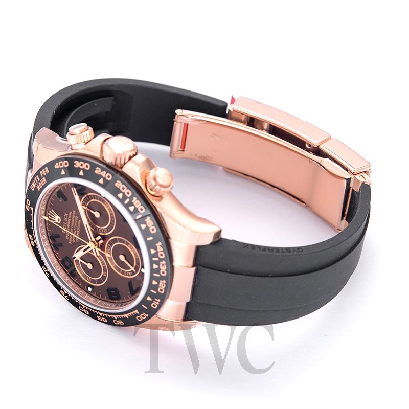 everose daytona oysterflex