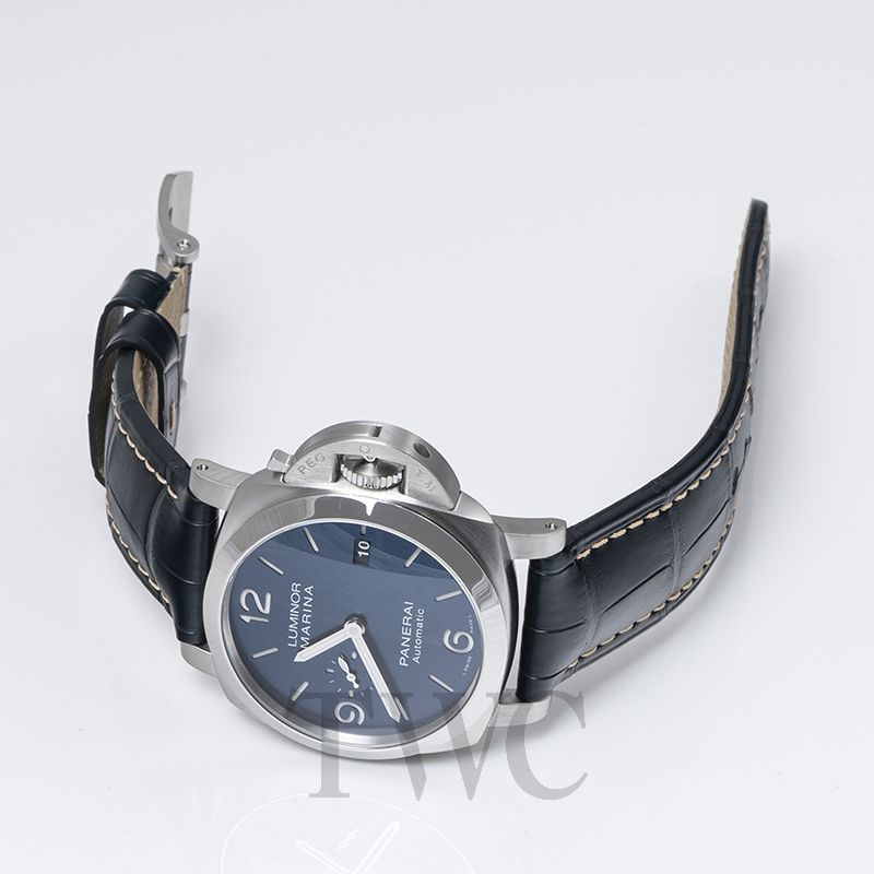 pam01313