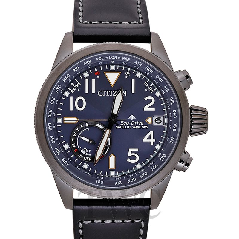 citizen promaster gps