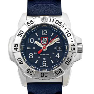 Luminox 3181 online