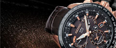 Seiko Watches